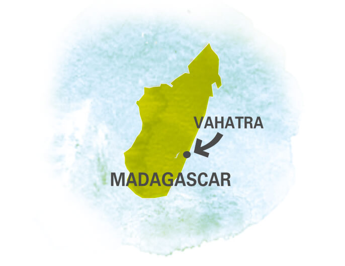 Carte coopÃ©rative Vahatra Madagascar - poivre noir sauvage